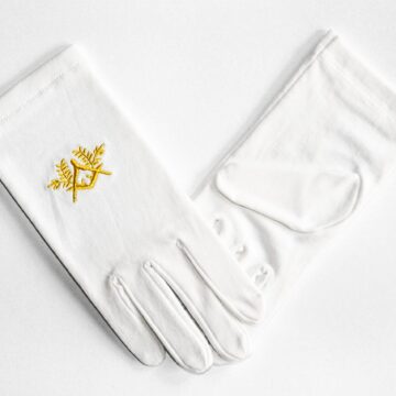 Handschoenen Achtbare Meester Worshipful Master Dutch nederlandse regalia maçonniek Vrijmetselarij Vrijmetselaarswinkel Loge Benelux
