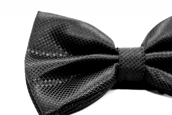 Gentleman bow tie silk gala dress Craft Degrees Dutch regalia Freemasonry Lodge Benelux Vrijmetselaarswinkel