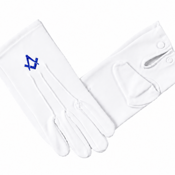Gloves 4