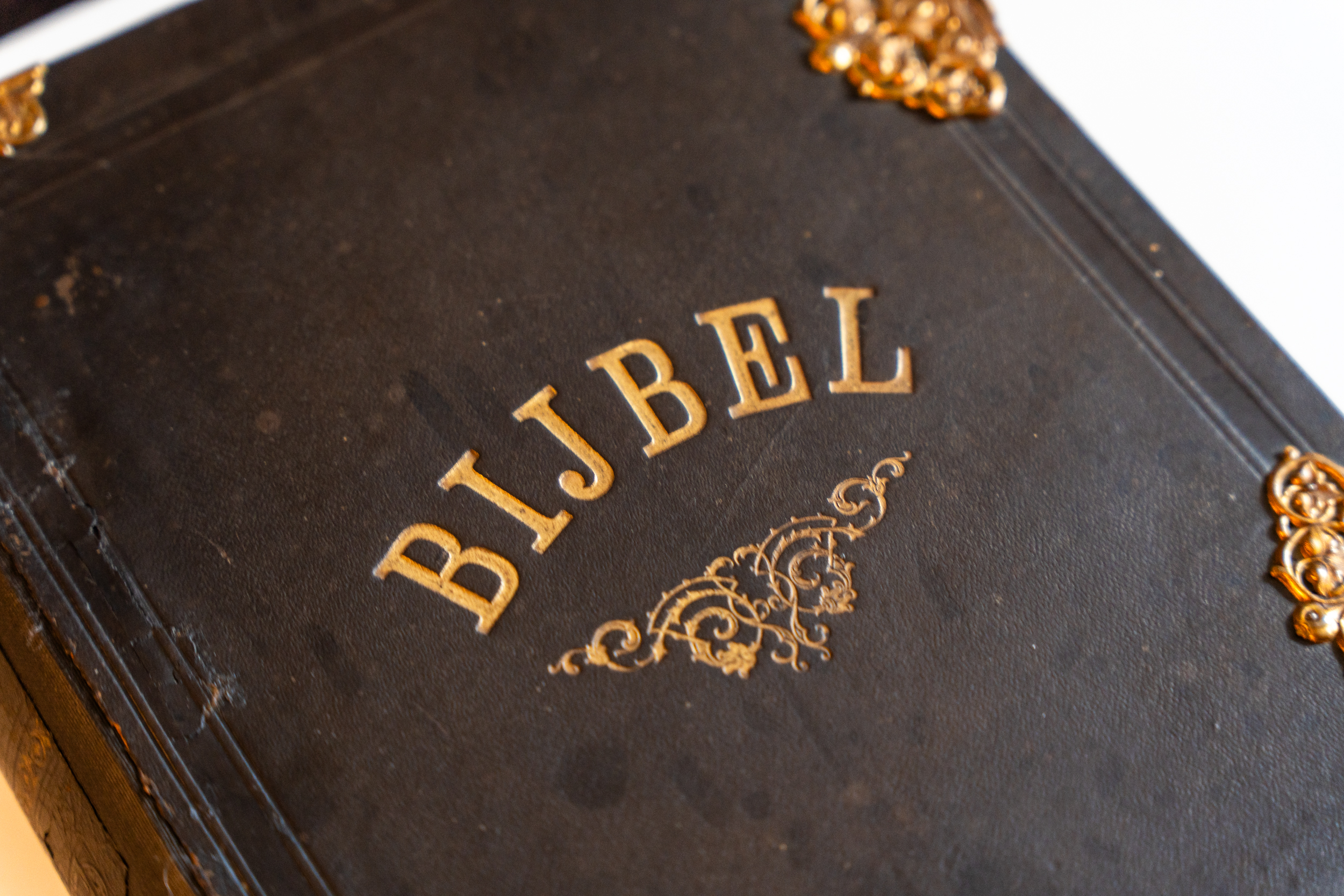 Staten-Bibel 1896 – Abbildung 5