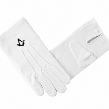 Guantes 24